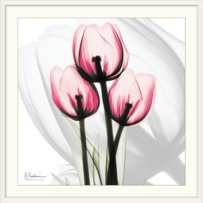 'Tulips X-Ray by Albert Koetsier Photographic Print