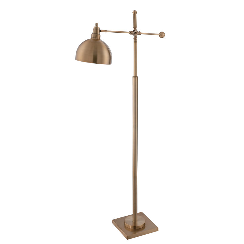 Danika 57.5'' Brushed Brass Task Floor Lamp