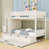 Ivory est en rupture de stock