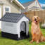 Niche en plastique pour chien-398262978-398262977