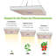 Brayden Studio Grow Light