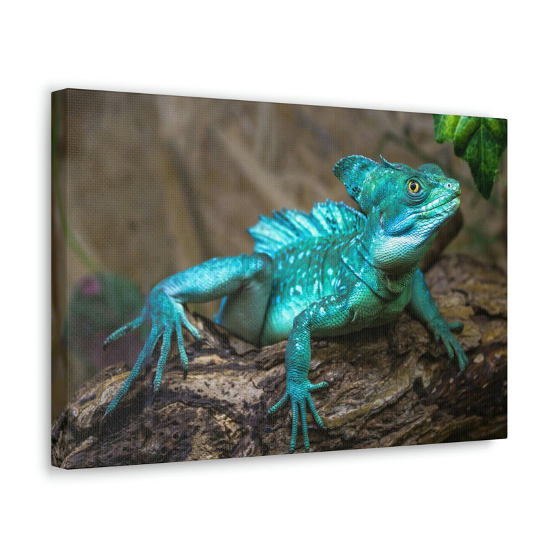No Frame Print on Canvas, 30.48cm H x 40.64cm W