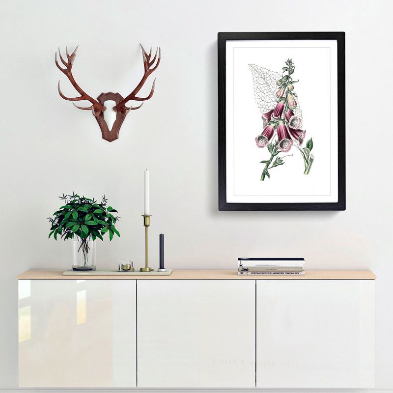 Foxglove Flowers Illustration - Framed Print, 36cm H x 27cm W x 2cm D, Black Framed