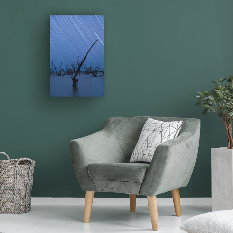 Art sur toile Jingshu Zhu, H 16 po x l 24 po