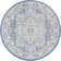 Shailena Oriental Indoor Rug
