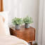 2 - Piece Artificial Plant Set