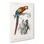 Parrot And Woodpecker by Charles D' Orbigny - Wrapped Canvas Print-55366667