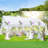 Steel Canopy Party Tent Heavy Duty Wedding Tent-112023515