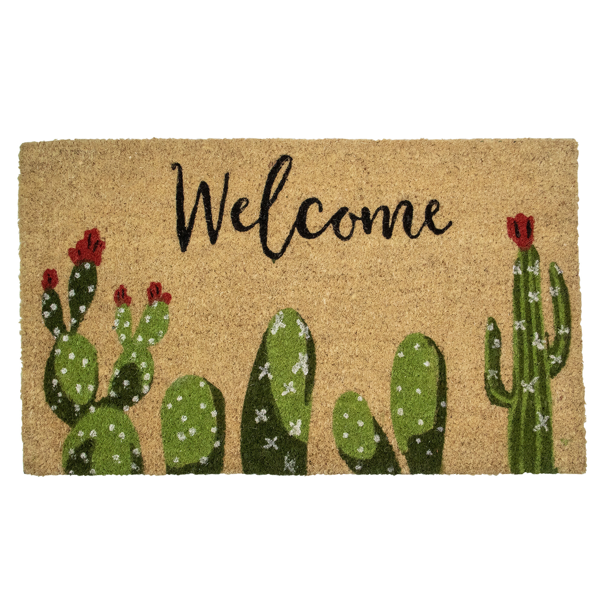 https://assets.wfcdn.com/im/03850712/compr-r85/1851/185181103/natural-coir-tropical-cactus-rectangular-welcome-doormat-18-x-30.jpg