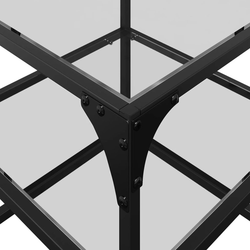Cuerdas Coffee Table with Storage, 45cm H x 40cm L x 40cm W, Transparent