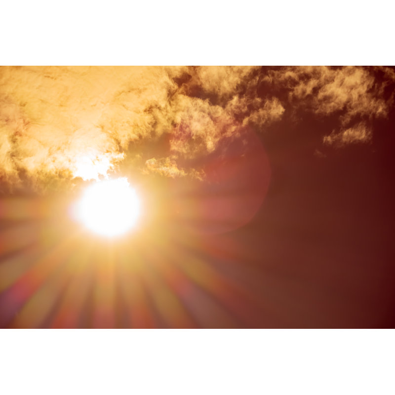 Summer Noon Sun by Niuniu - Wrapped Canvas Print, 51cm H x 76cm W