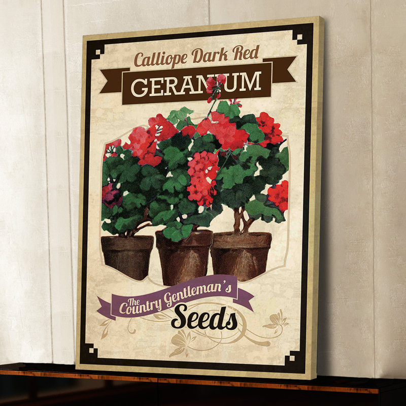 Flower Packet Geranium - Wrapped Canvas Print, 61 cm H x 41 cm W