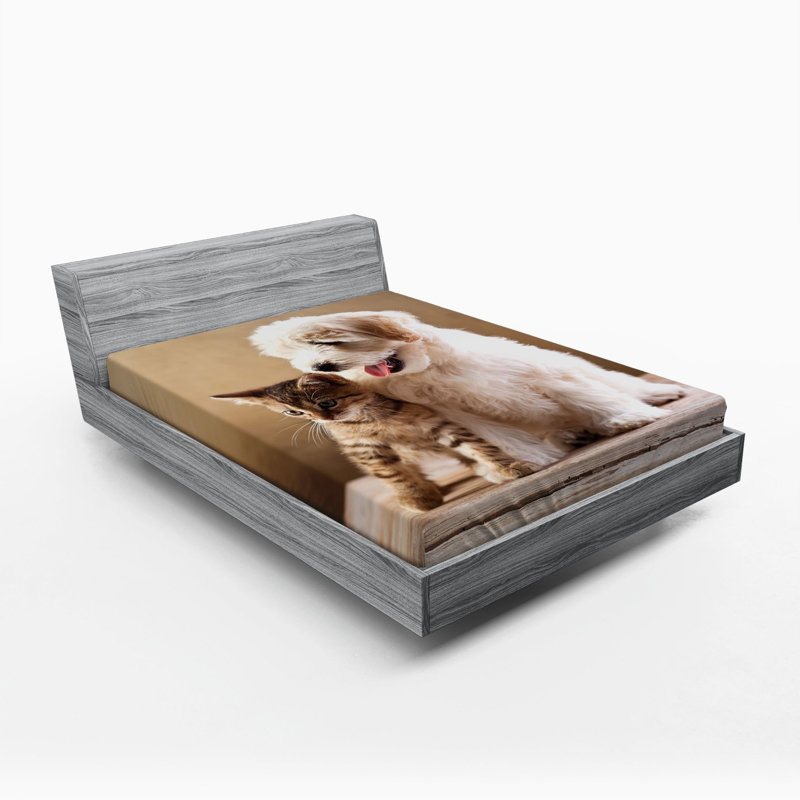 Microfiber Fitted Sheet, Queen Fitted Sheet
