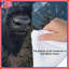 Édredon Mountain Bison Illusion-129974231
