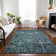 Kaylani Washable Oriental Indoor / Outdoor Rug