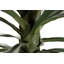 180cm Faux Yucca Plant in Pot
