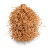12" Vetiver Decorative Sculpture