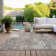  Aleg Area Rug