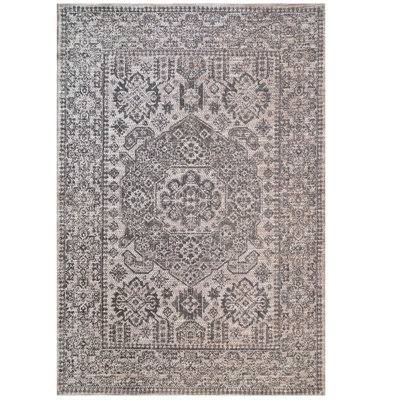 Antwine Moroccan Hand Woven Indoor / Outdoor Area Rug