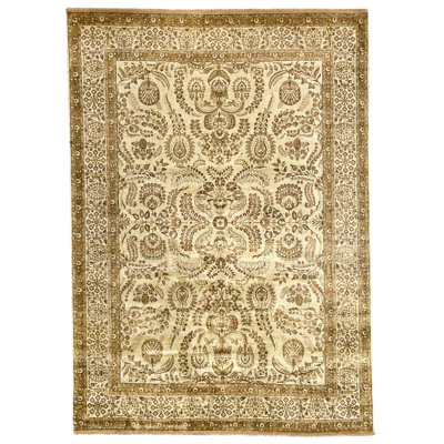 Hand Knotted Wool Area Rug in Beige