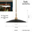 1 luminaire suspendu