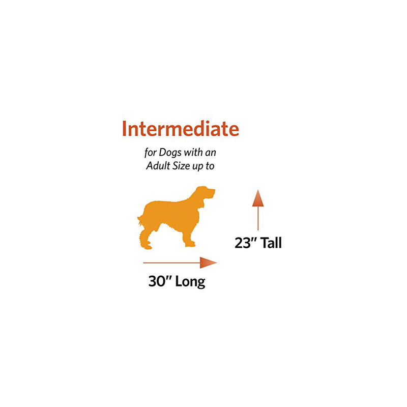 Lit de luxe MidWest Homes for Pets Coco Chic, Moyen (l 34 po x P 22 po x H 3,75 po)