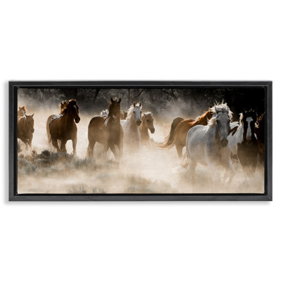 Striking Horse Herd Galloping