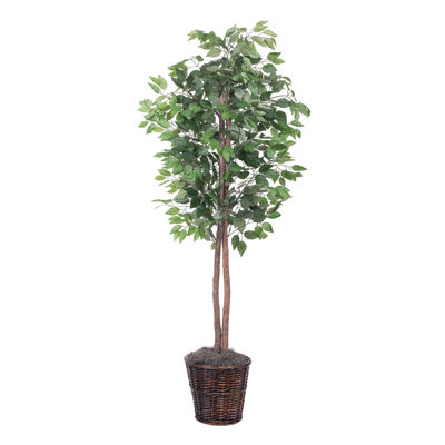 Nigel 72'' Faux Tree in Wicker/Rattan Basket