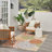 Chazney Floral Indoor/Outdoor Area Rug-950976959