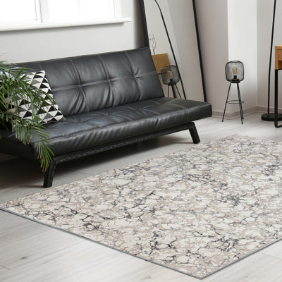 Chardarius 1240 Transitional Marbled Gray Area Rug