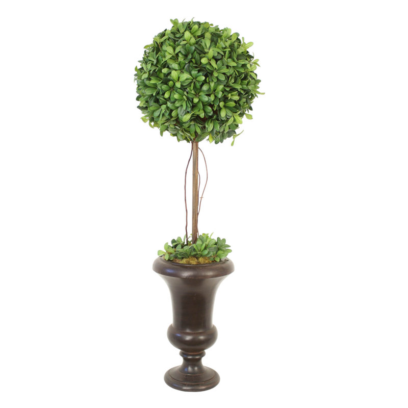Round Topiary in Brown Urn