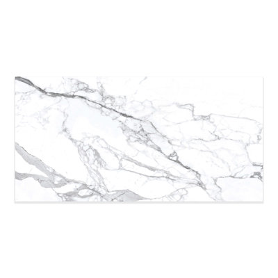 Vida White Matte 24x48 (15.5 Sq. Ft./Case)
