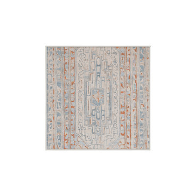 Machine Washable Beige Area Rug