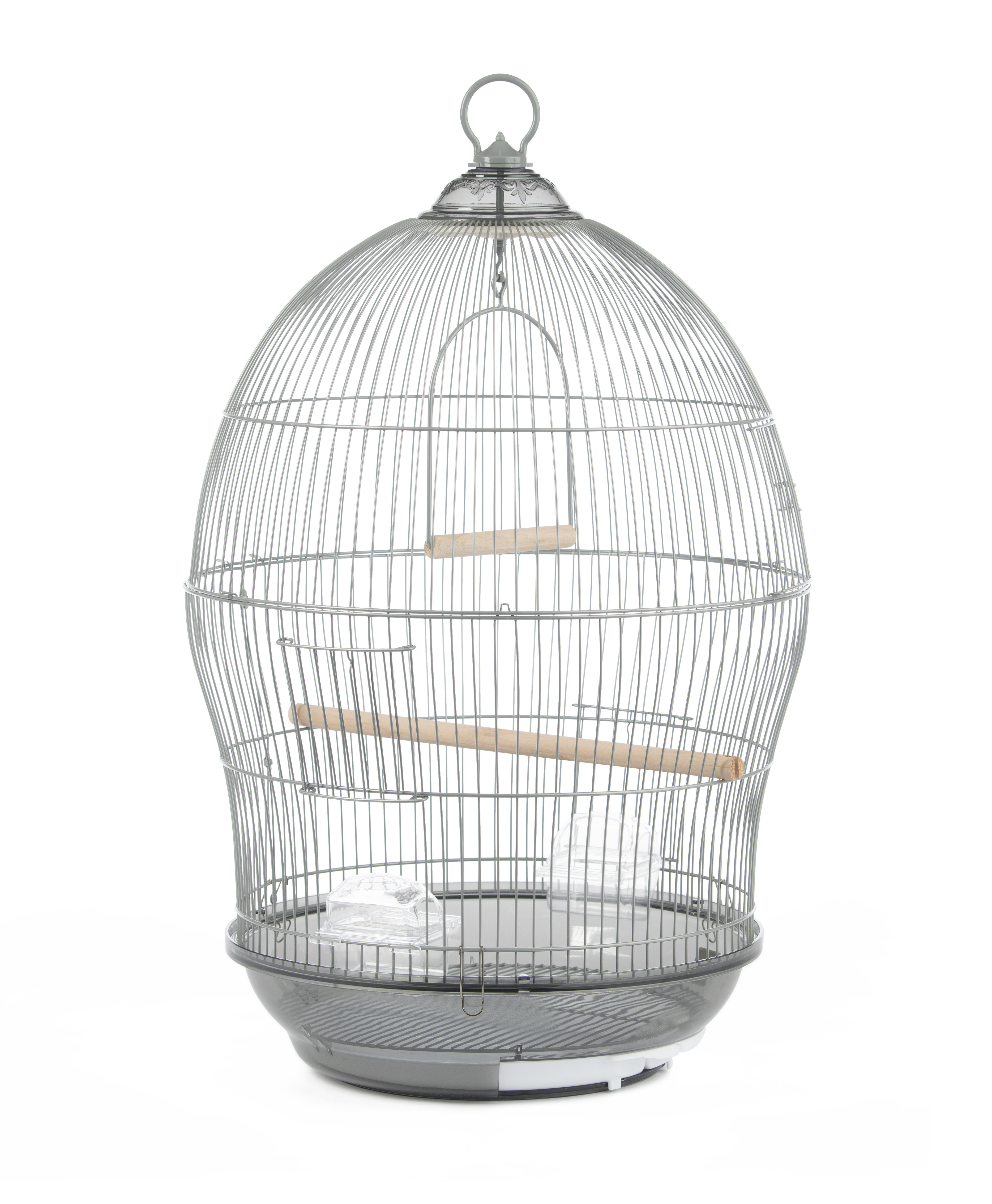 Tucker Murphy Pet™ Bressler 25 Steel Victorian Top Hanging Bird Cage with  Perch & Reviews - Wayfair Canada