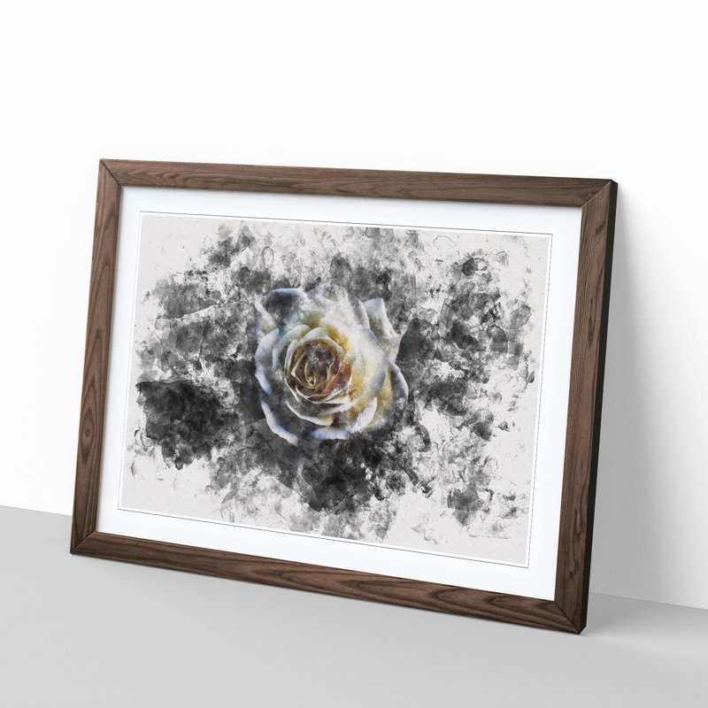 A Crisp White Rose Watercolour - Framed Print, 45cm H x 63cm W x 2cm D, Walnut Framed
