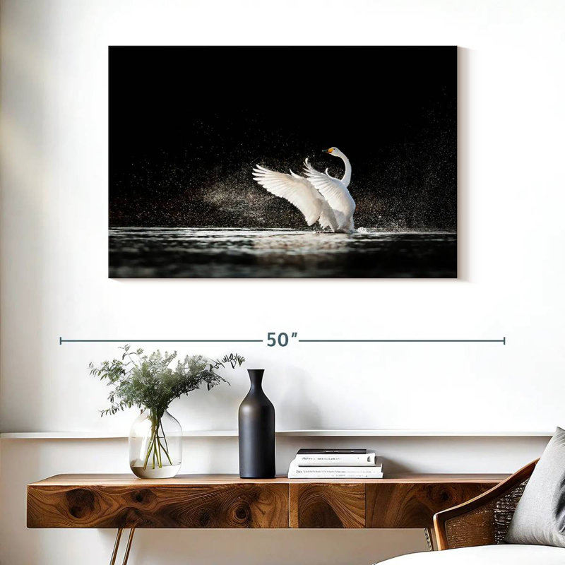 Cygne éclaboussant de l'eau