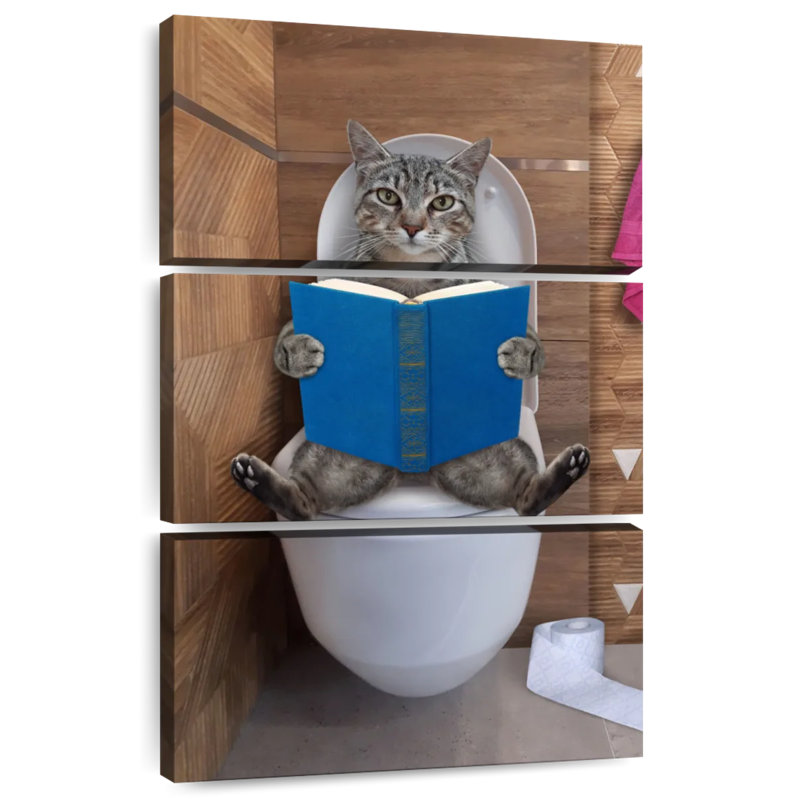 Toilette pour chat Ketti Tabby, H 38 po x l 24 po