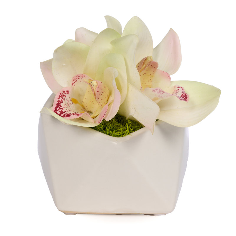 White Silk Orchid Tabletop Centerpiece in Ceramic Pot