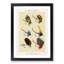 Bass Fishing Flies Versions 4 by Mary Orvis Marbury - Picture Frame Painting Print-55683474-55683475