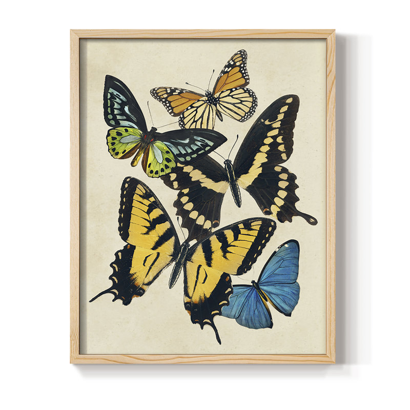 «Collage Butterflies II», reproduction encadrée - bois massif, H 11 po x l 9 po