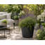 Robin Round Bucket Planter, Contemporary Concrete Effect, Round Indoor and Outdoor Plant Pot with Drainage Hole-1319411698-1319411693
