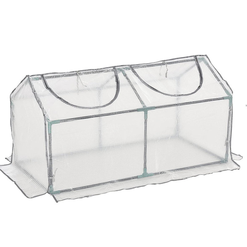 Darrtown 4 Ft W x 2 Ft D Mini Greenhouse