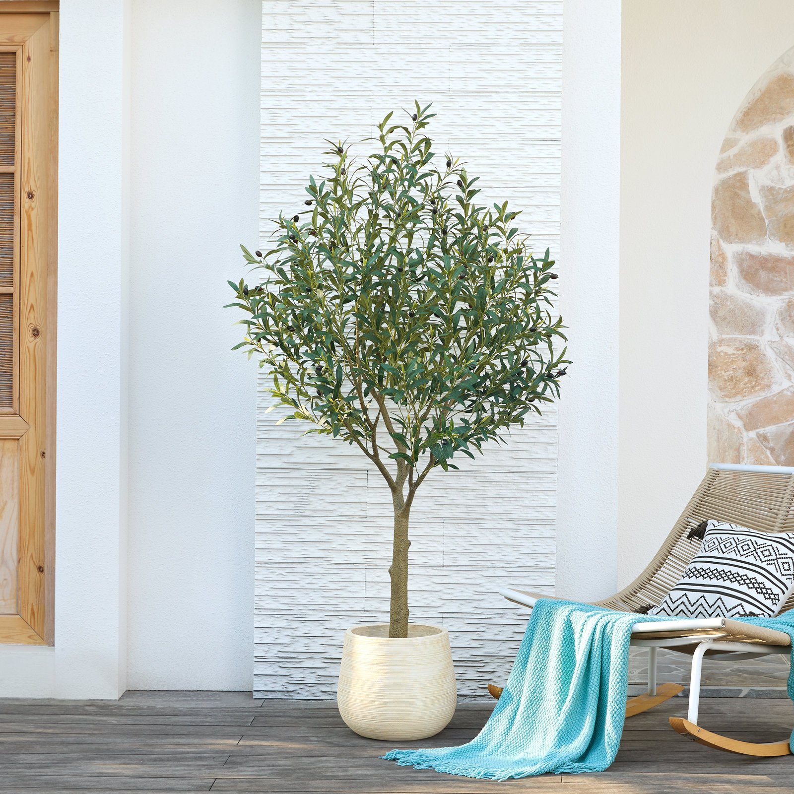 George Olive Tree in Pot, 72" H x 24" W x 24" D