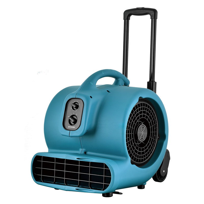 Ebern Designs 40.5cm Oscillating Blower Fan Fan