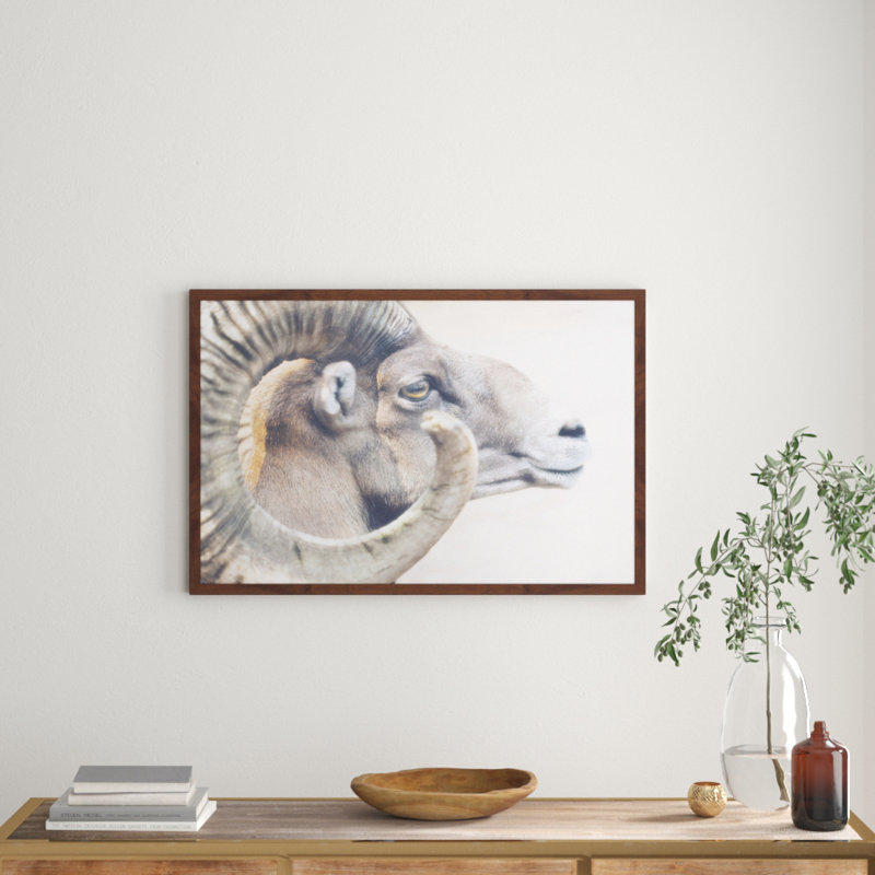 Parvez Taj - Single Picture Frame Print, 61cm H x 91cm W x 3.81cm D