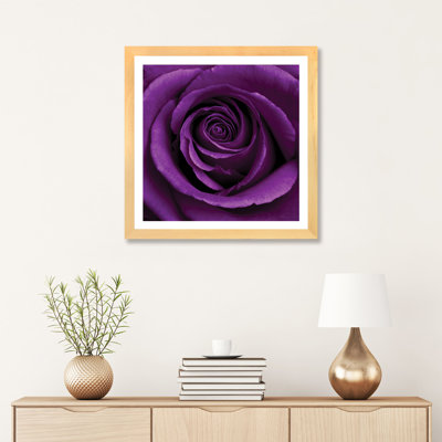 " Purple Rose I " by Tom Quartermaine