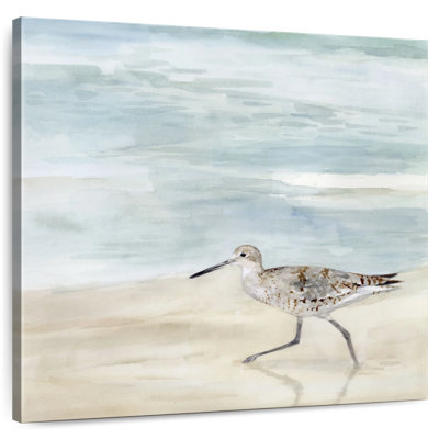 Brampt Speckled Willet II