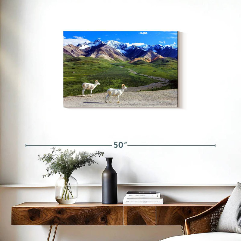 Rorry Dall Sheep In Denali, 20" H x 30" W