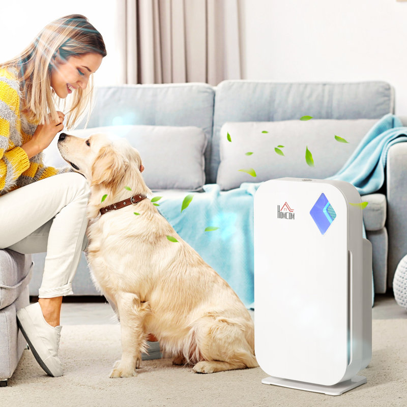 Purificateurs d'air avec filtre HEPA