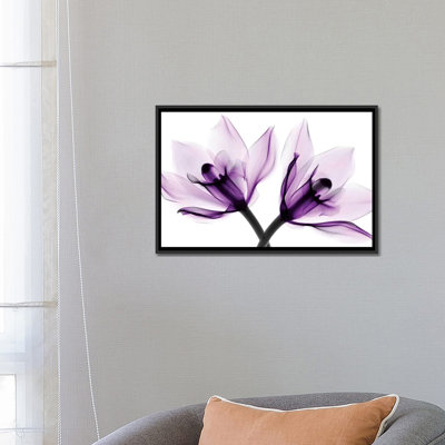 " Orchids I " by Hong Pham